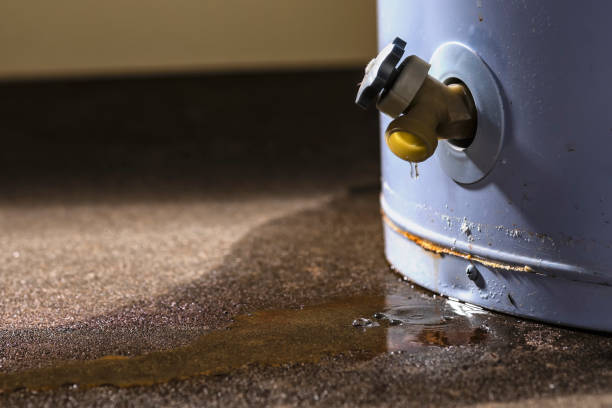 Best Residential water damage restoration  in Kronenwetter, WI