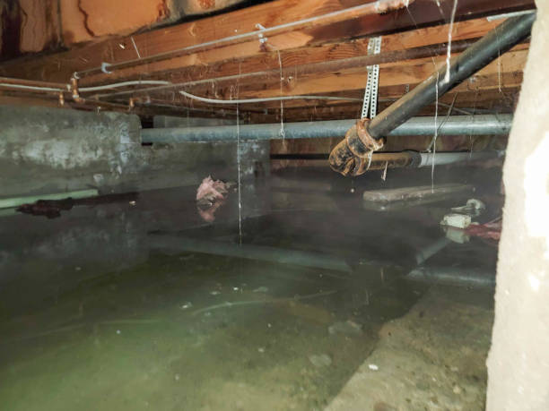 Best 24/7 water damage repair  in Kronenwetter, WI