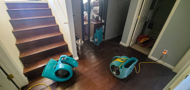 Best Flood damage cleanup  in Kronenwetter, WI