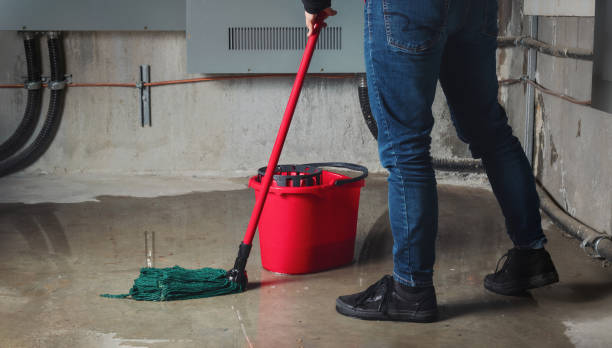 Best Flooded house restoration  in Kronenwetter, WI