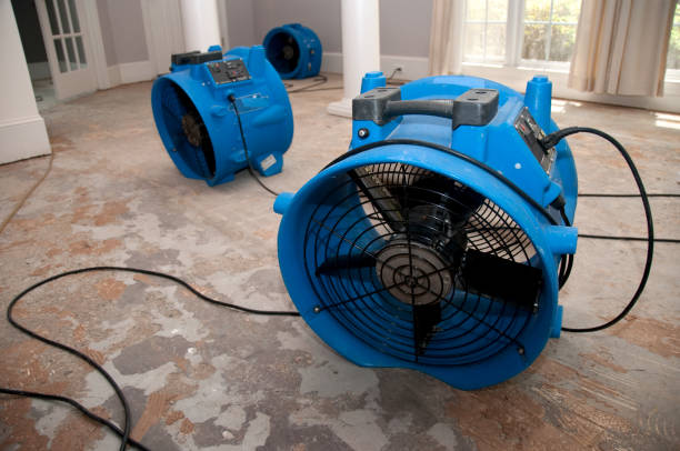 Best Water damage mitigation services  in Kronenwetter, WI