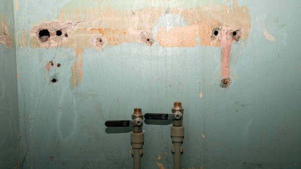 Best Basement water damage restoration  in Kronenwetter, WI