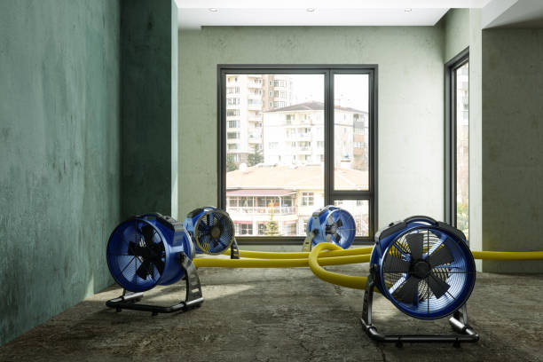 Best Local water damage restoration  in Kronenwetter, WI
